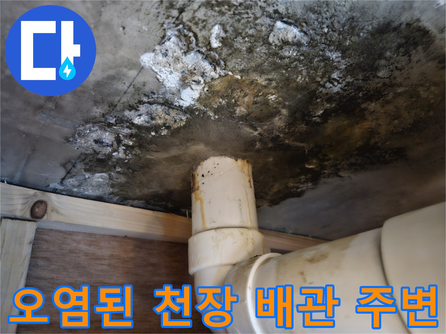 물샘 현상으로 인해-곰팡이가 피어있는-배관 주변 부위