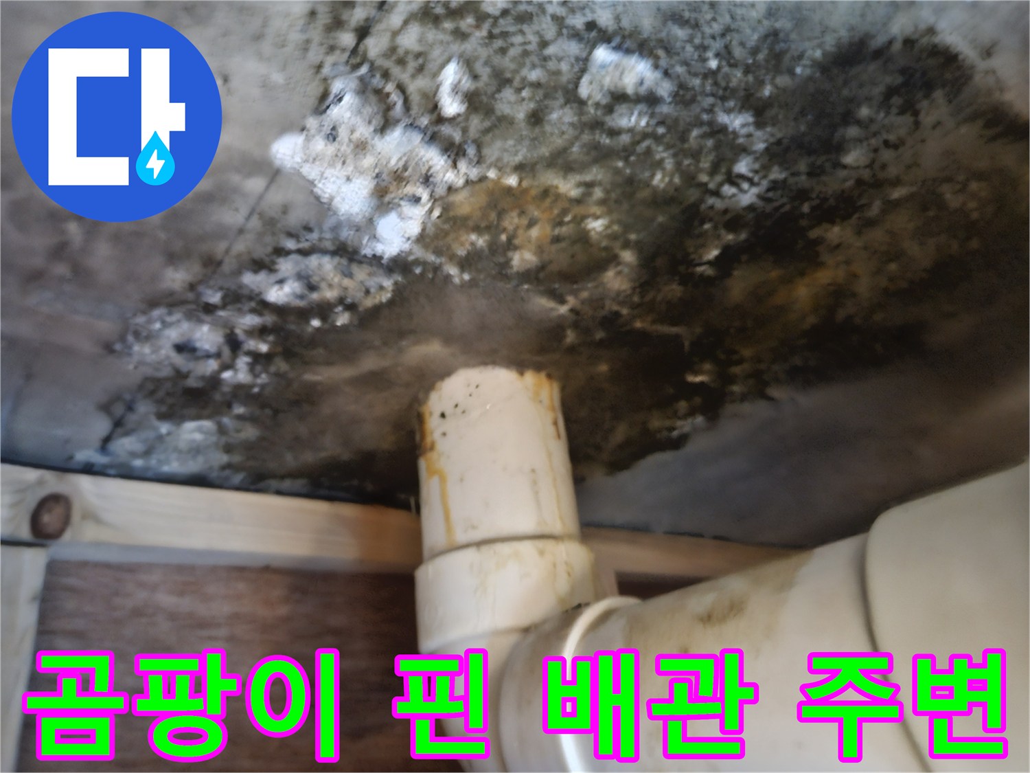 천장-배수-파이프-주변의-심한-곰팡이-및-슬래브-부식