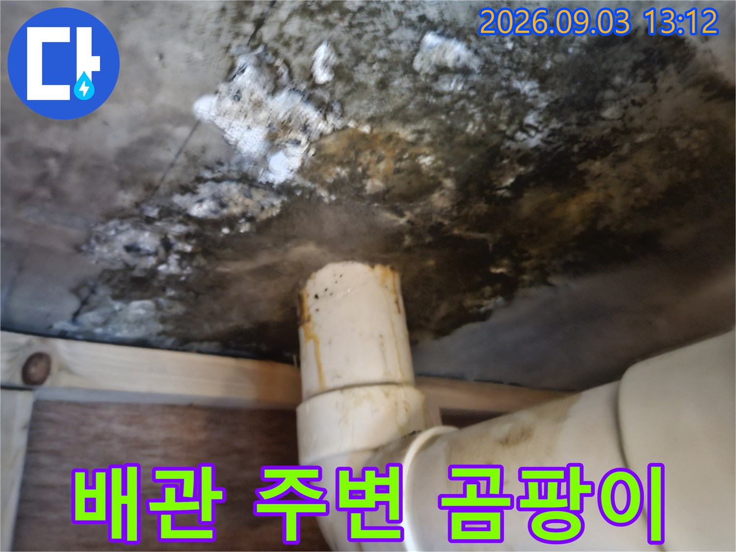 천장 배수관-곰팡이가 발생한 천장 내부 모습