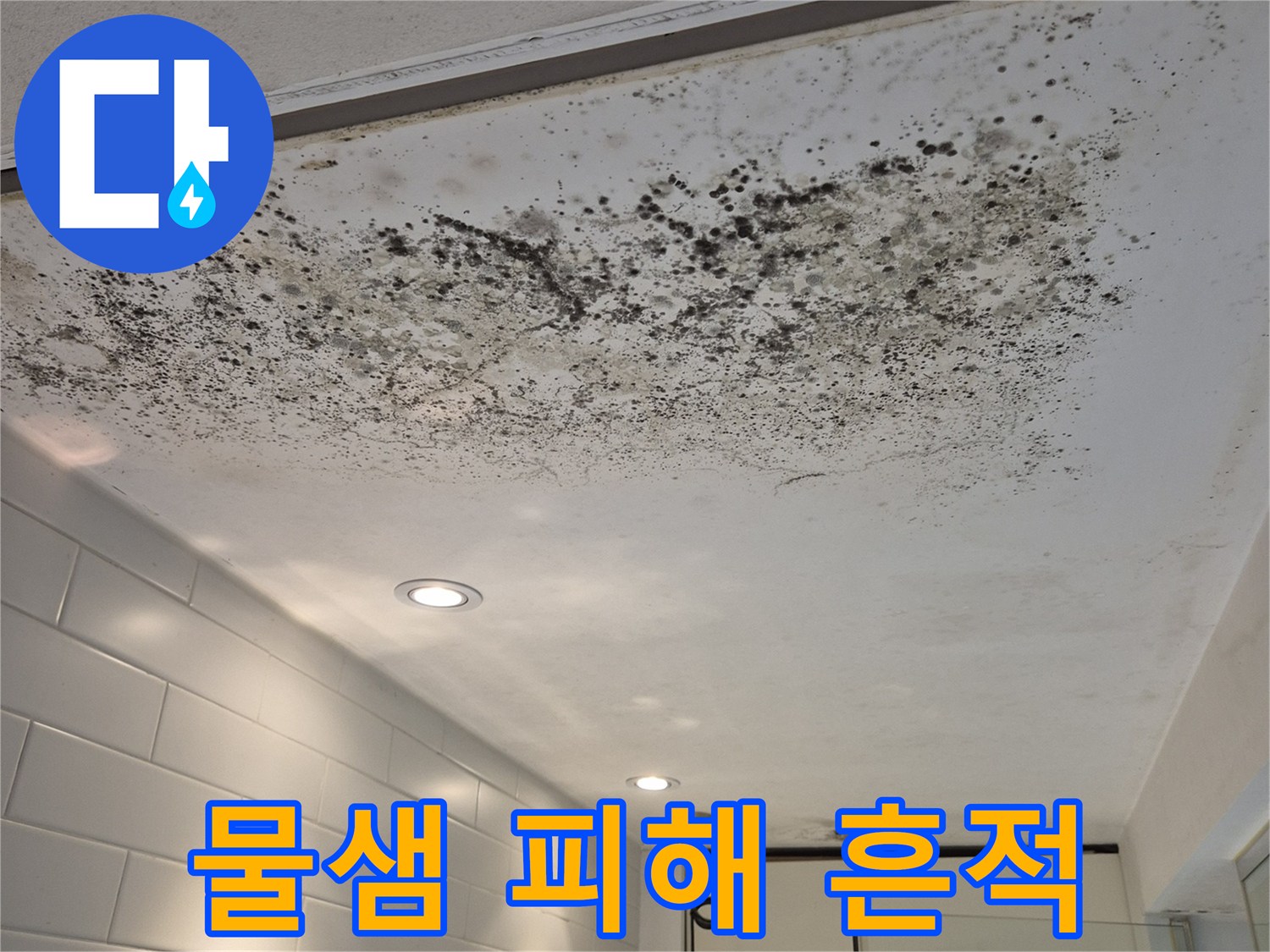 천장 벽면에 발생한 곰팡이와 얼룩 현상