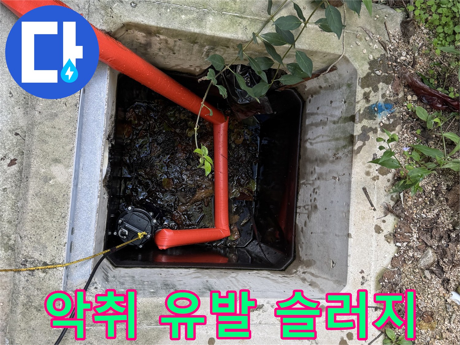 부패하여-검게-변한-집수정-내부의-오물과-찌꺼기
