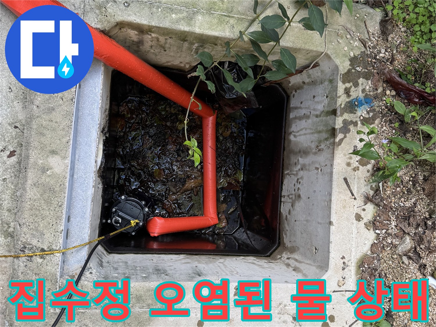 오염된-물과-슬러지가-섞여있는-집수정-내부-모습