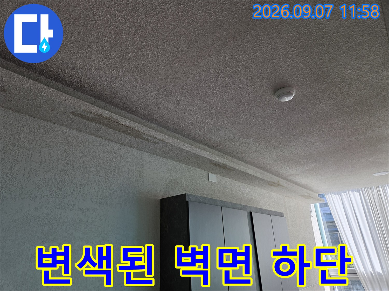 호원동 상가 내부 현장-누수로 인해 젖어 있는 벽면 모습