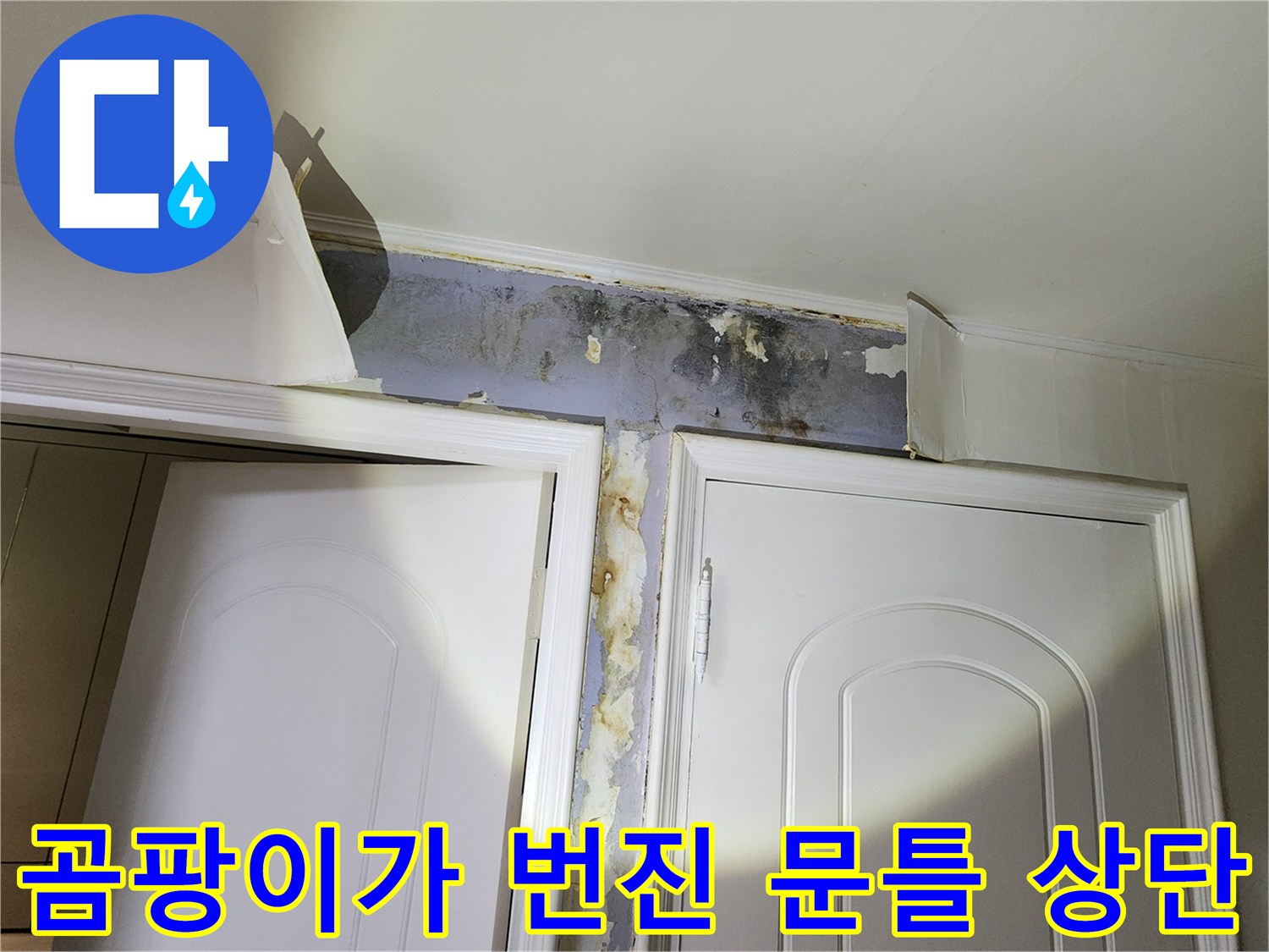 습기가 스며든 - 문틀 주변의 곰팡이와 페인트 탈락 현상