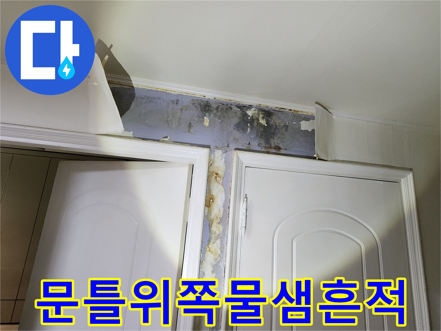은평구 신사동 현장-문틀 상단 벽면의 페인트 들뜸과 곰팡이 발생 상태