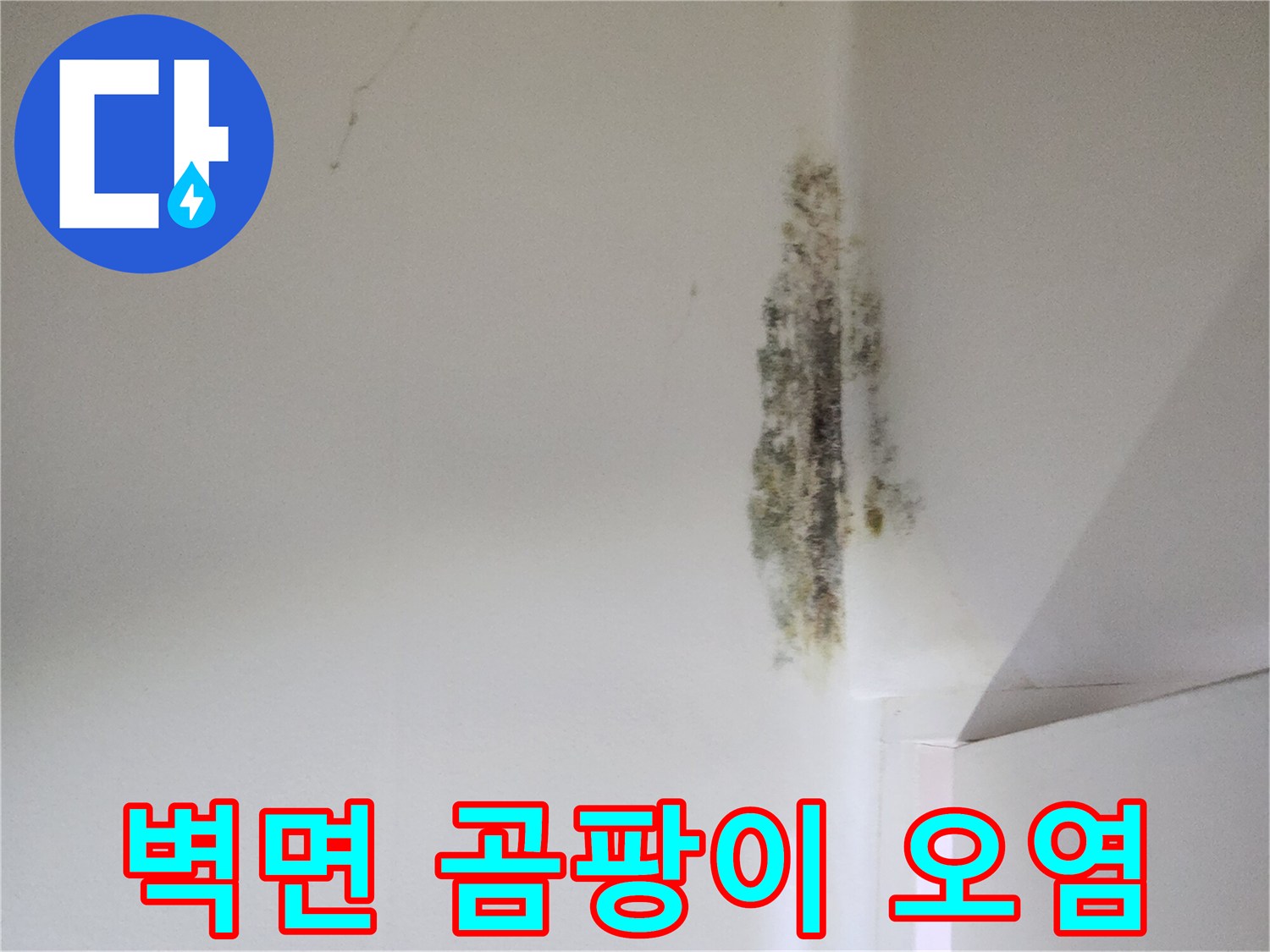 천장 모서리를 따라 나타난 검은 곰팡이 자국
