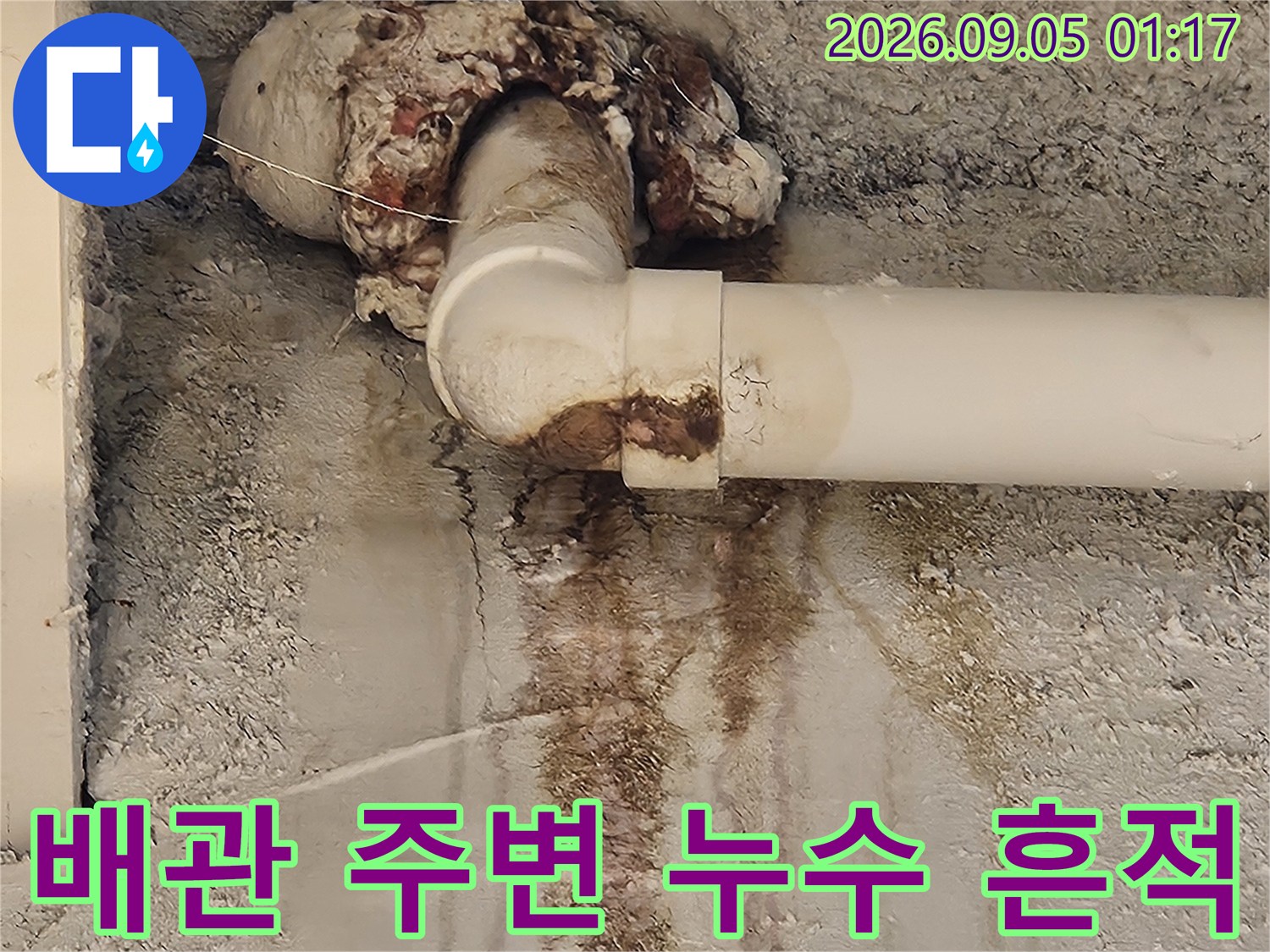 흰색 배관-주변의 젖은 얼룩과 곰팡이 현상
