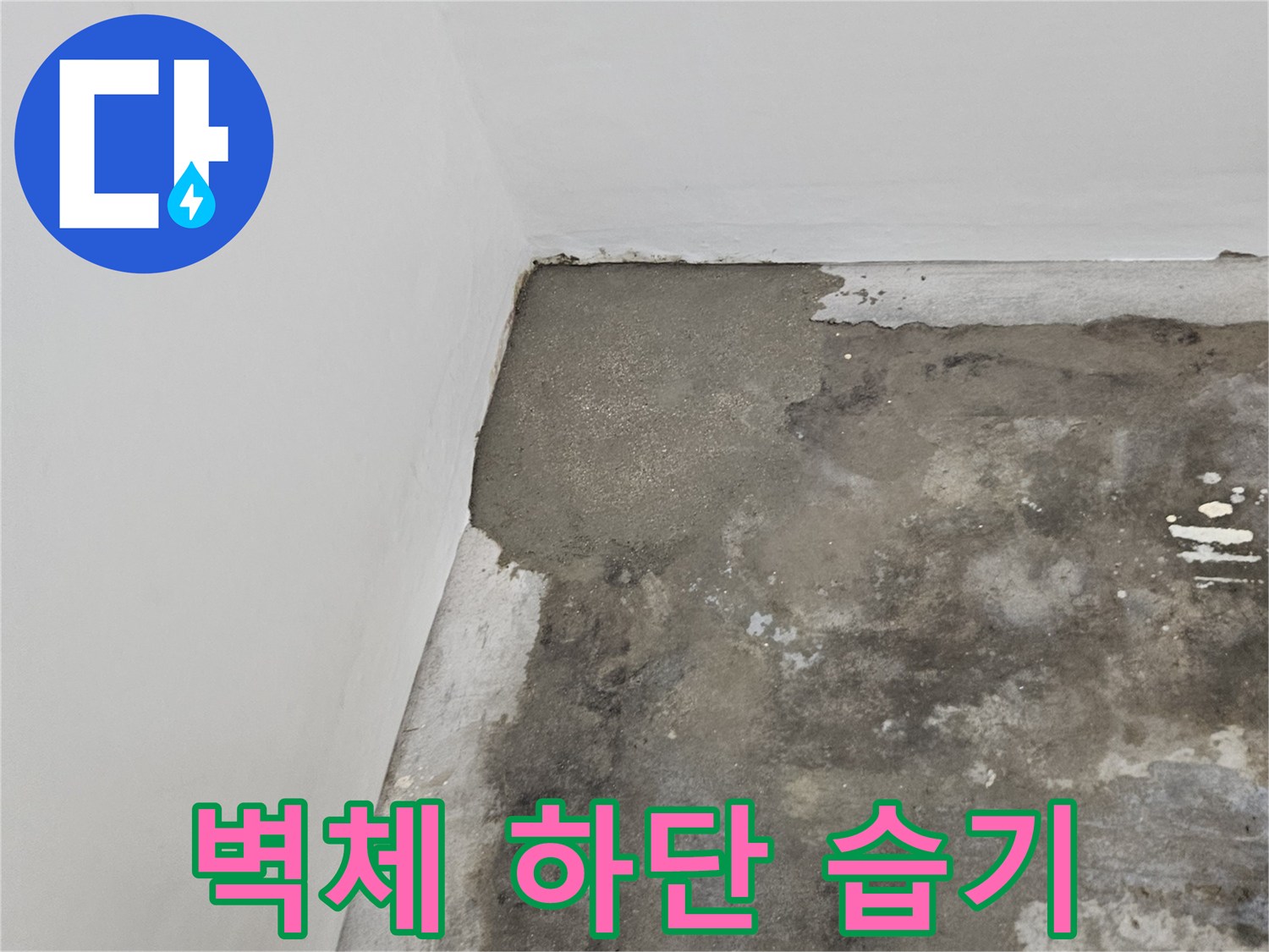 누수 점검-물에 젖은 벽면 마감 부위