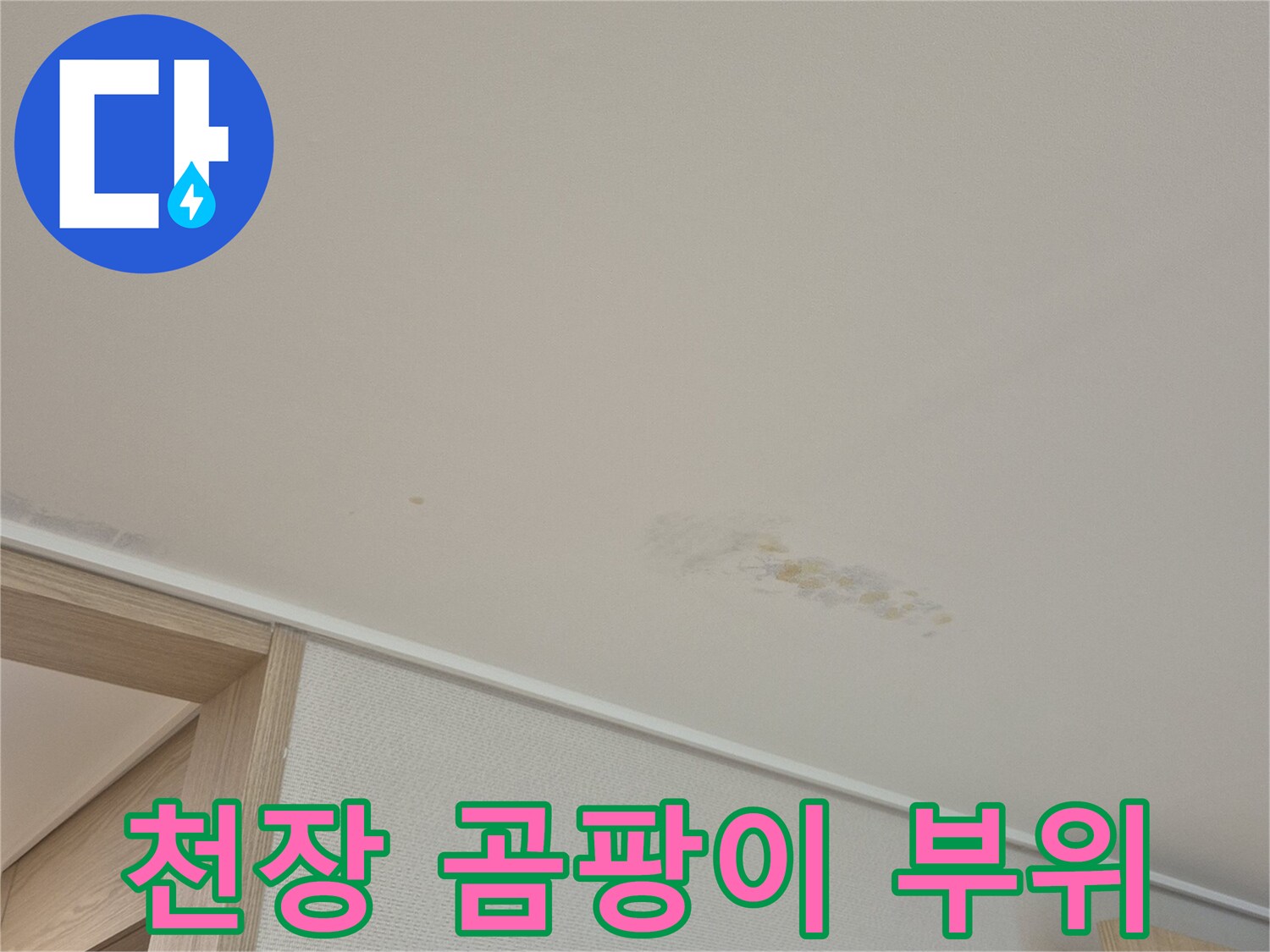 동천동 현장 - 천장 벽지의 누수 흔적과 곰팡이 발생 상태