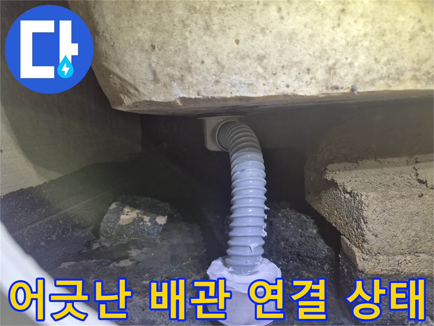 욕조 아래 어둡고 습한 곳에 노출된 파손 배관