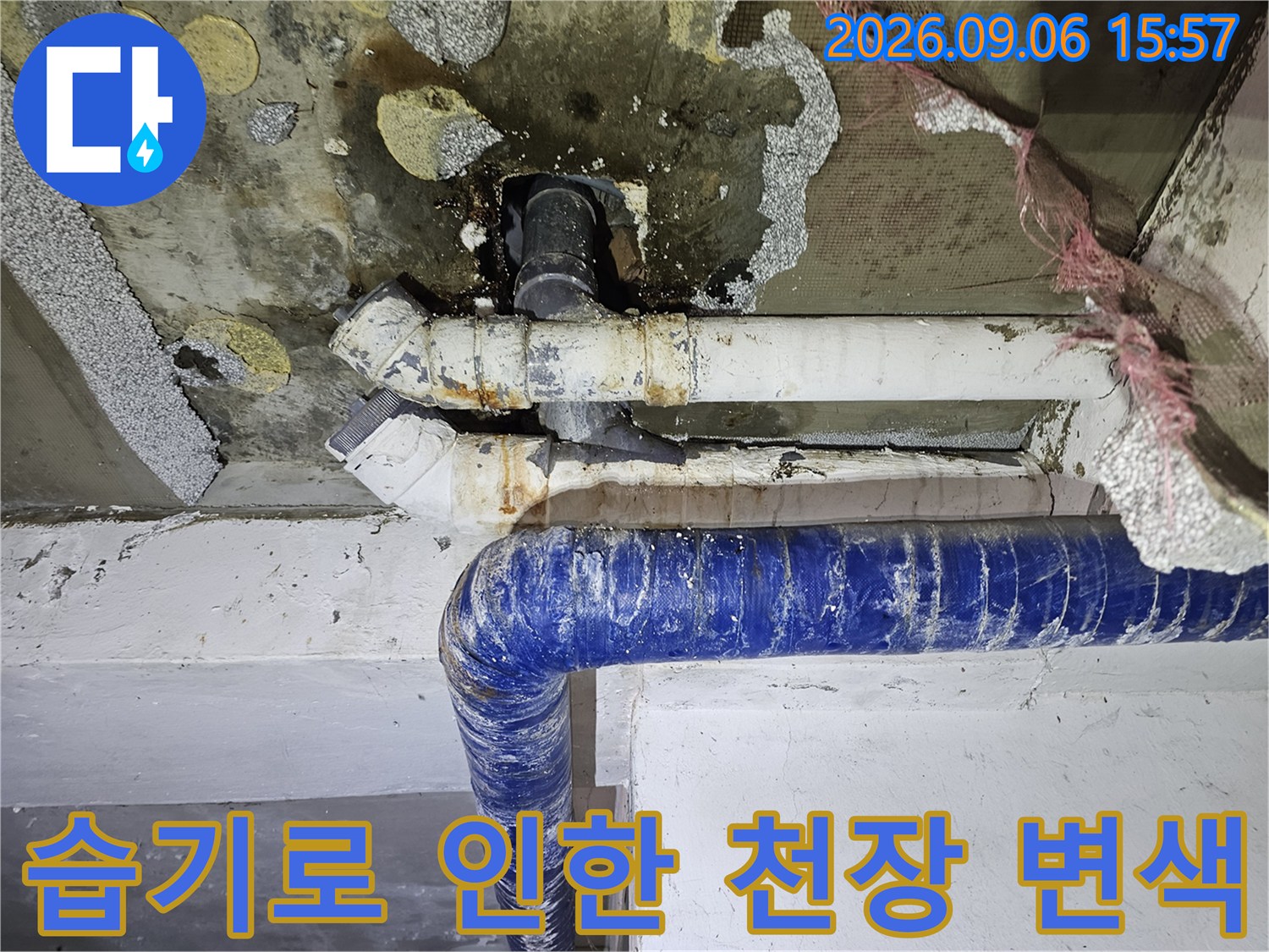 천장 마감재와 배관 주변의 습기 및 곰팡이 발생 부위