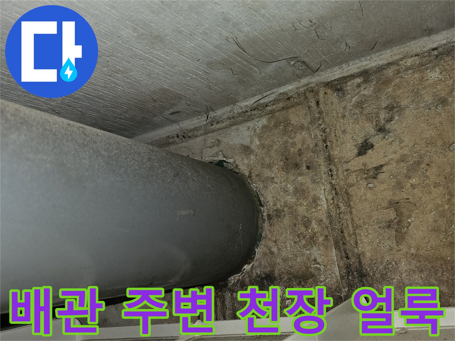 필로티 주차장 배관 주변의 심한 곰팡이와 습기 흔적