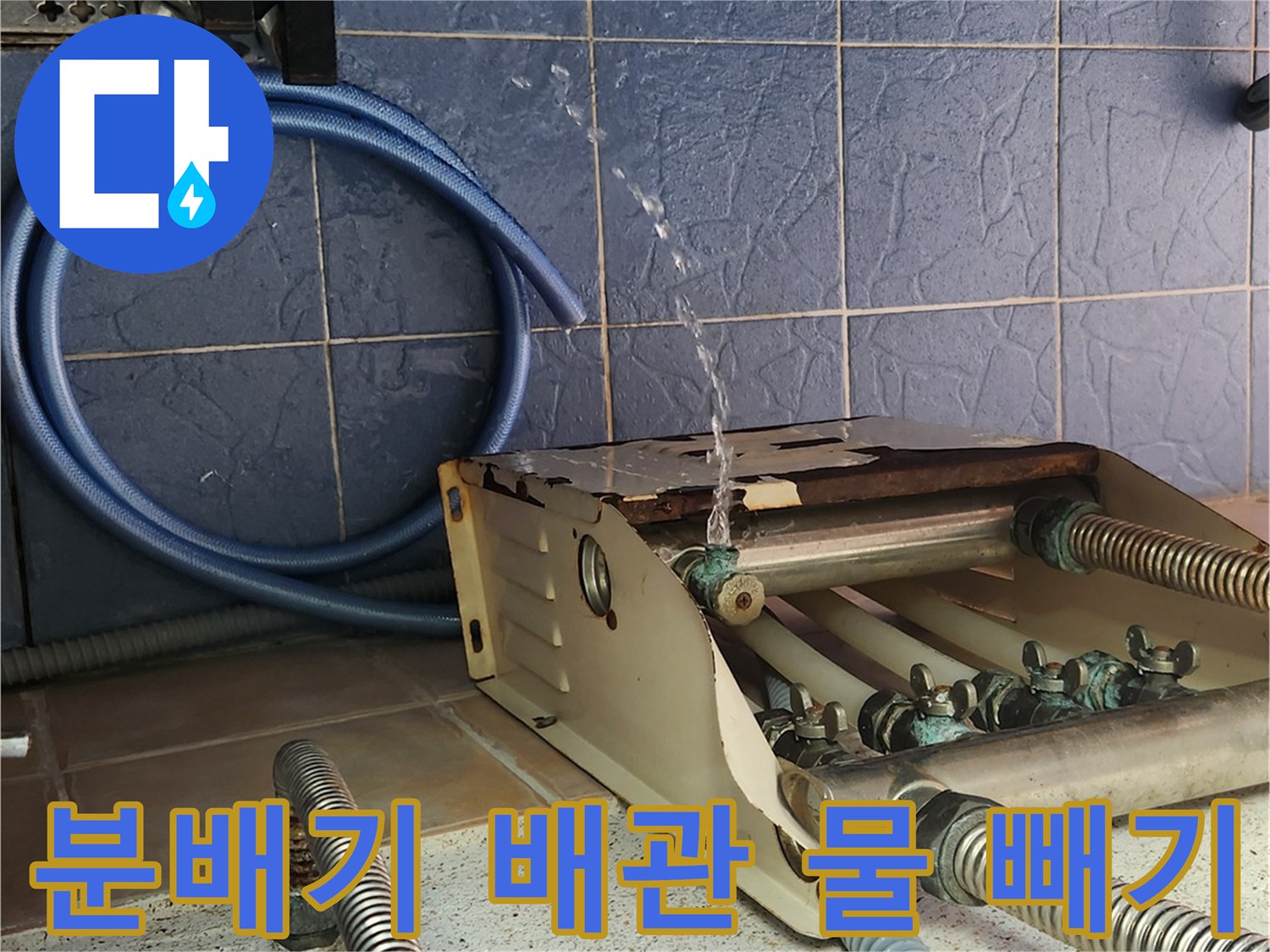 분배기 연결 부위에서 배관 내부의 물을 배출하는 장면입니다.