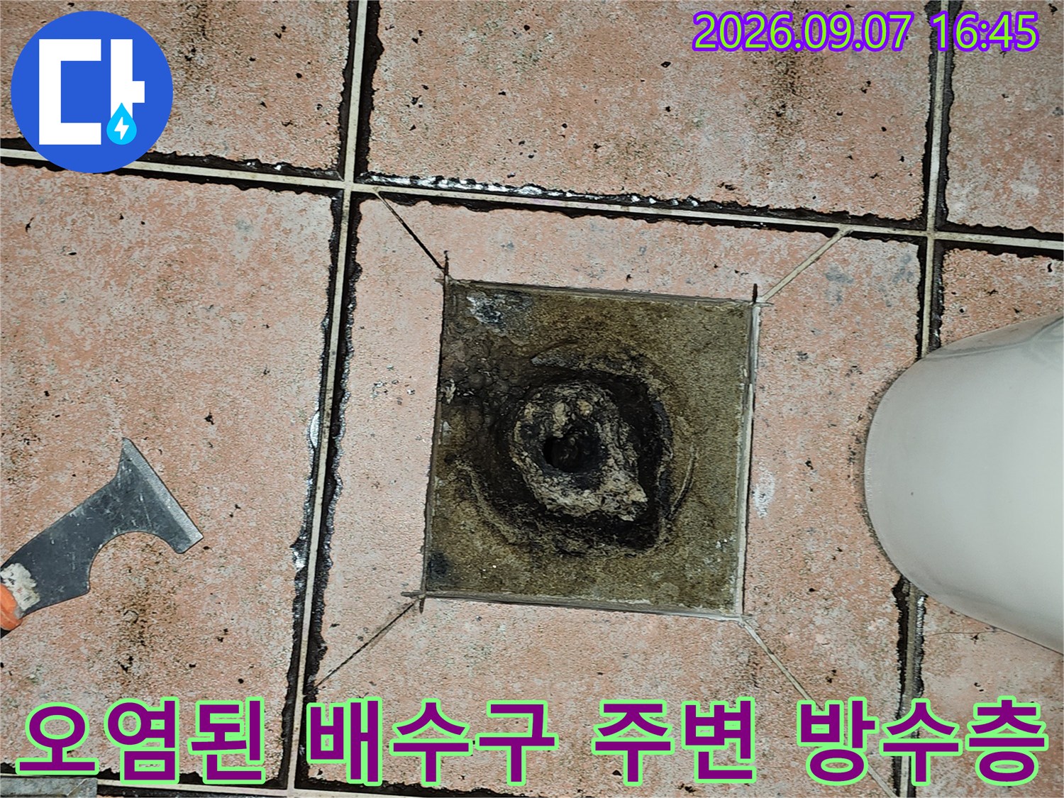 물 침투로 인해 검게 변색되고 오염된 화장실 배수구 유가 부위