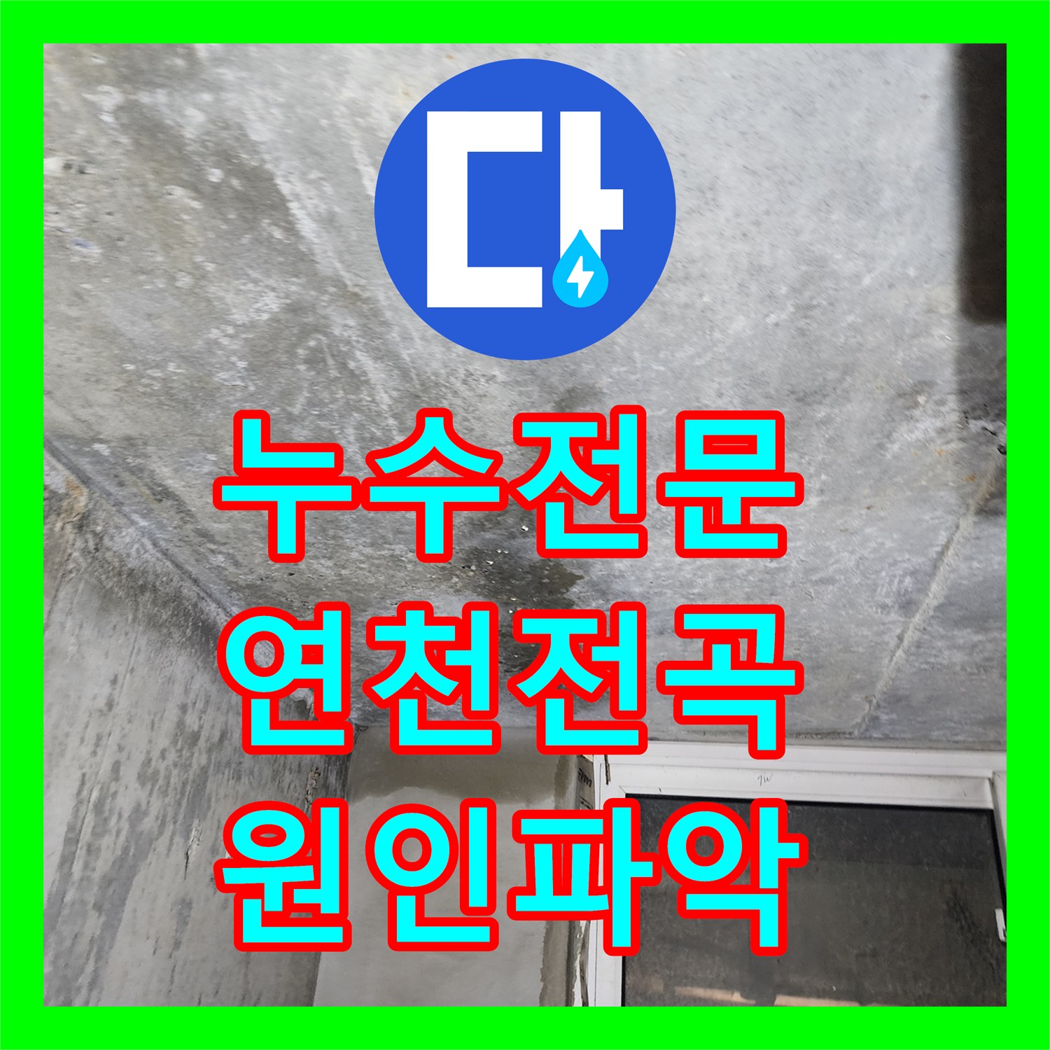 누수전문 빌라 지하층 천장 누수를 유발한 1층 싱크대 배관 수리 경기 연천군 전곡읍