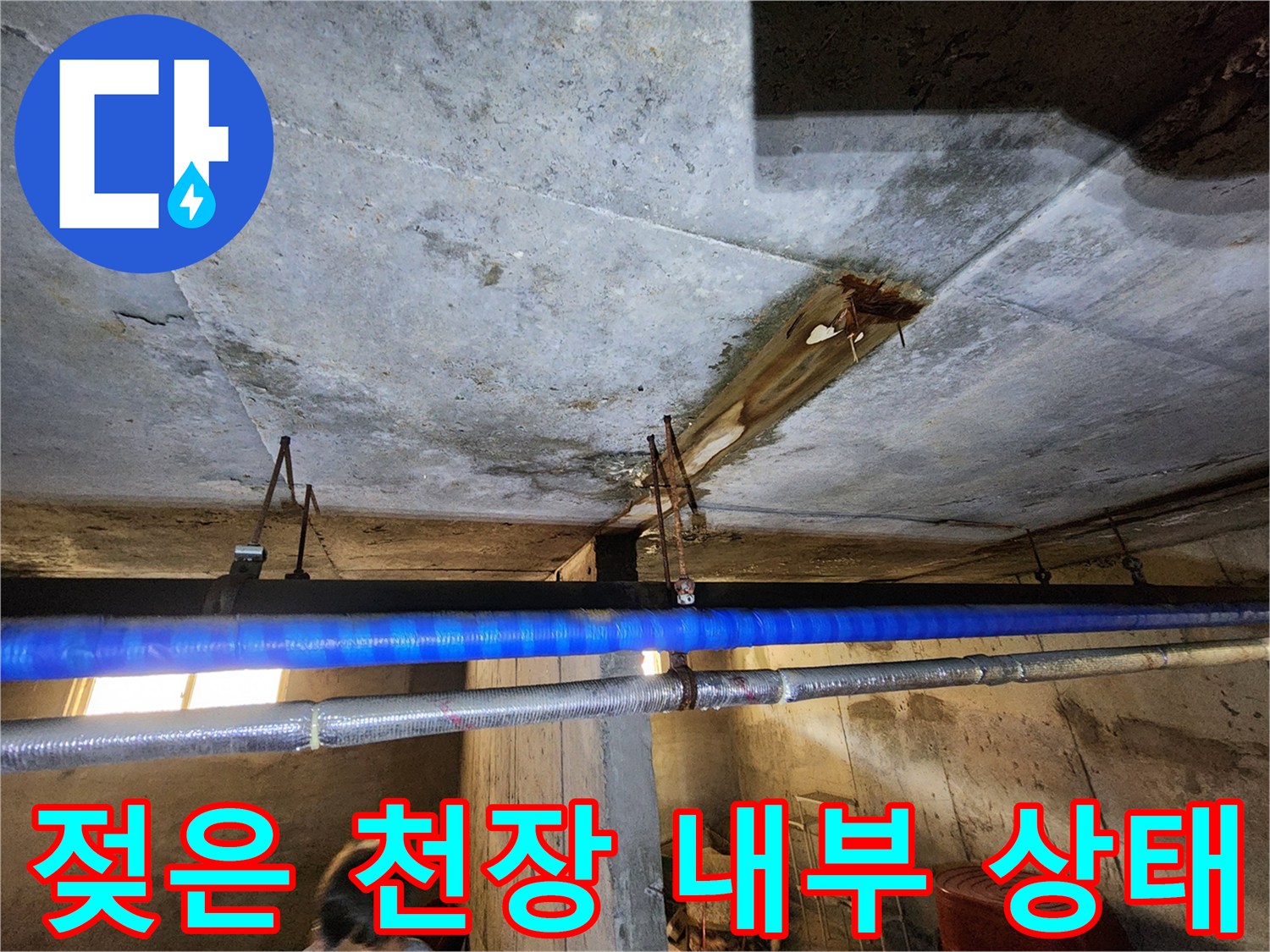 전곡 빌라 지하-천장 구조물 내 습기 침투 현상