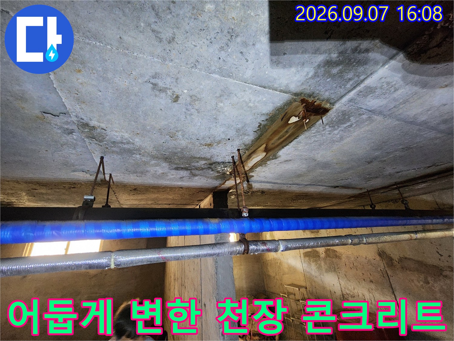 축축하게 젖은-지하층 천장의 누수 흔적과 오염 부위