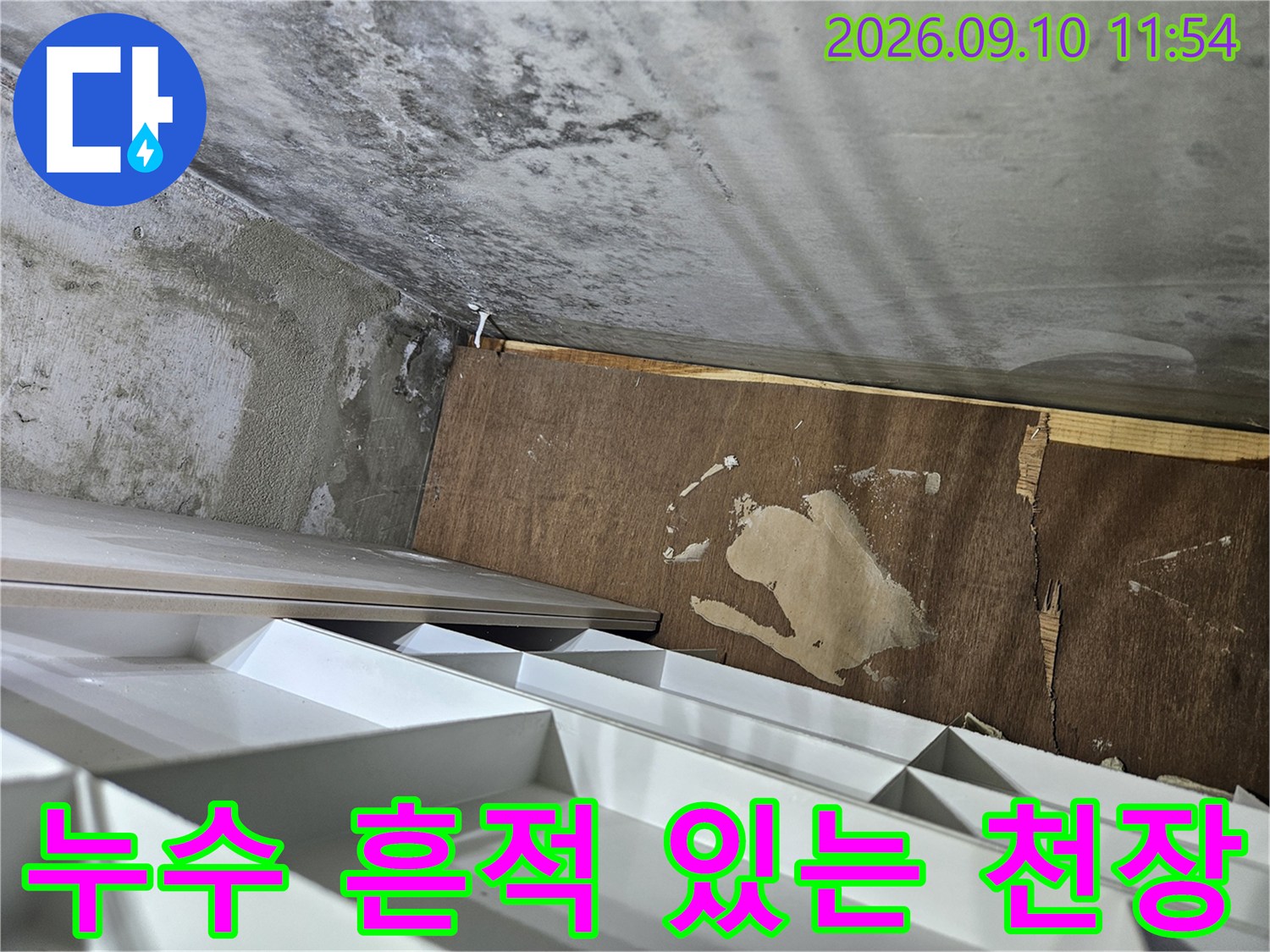 누수로 변색된 천장 목재와 젖은 콘크리트 벽면 부위