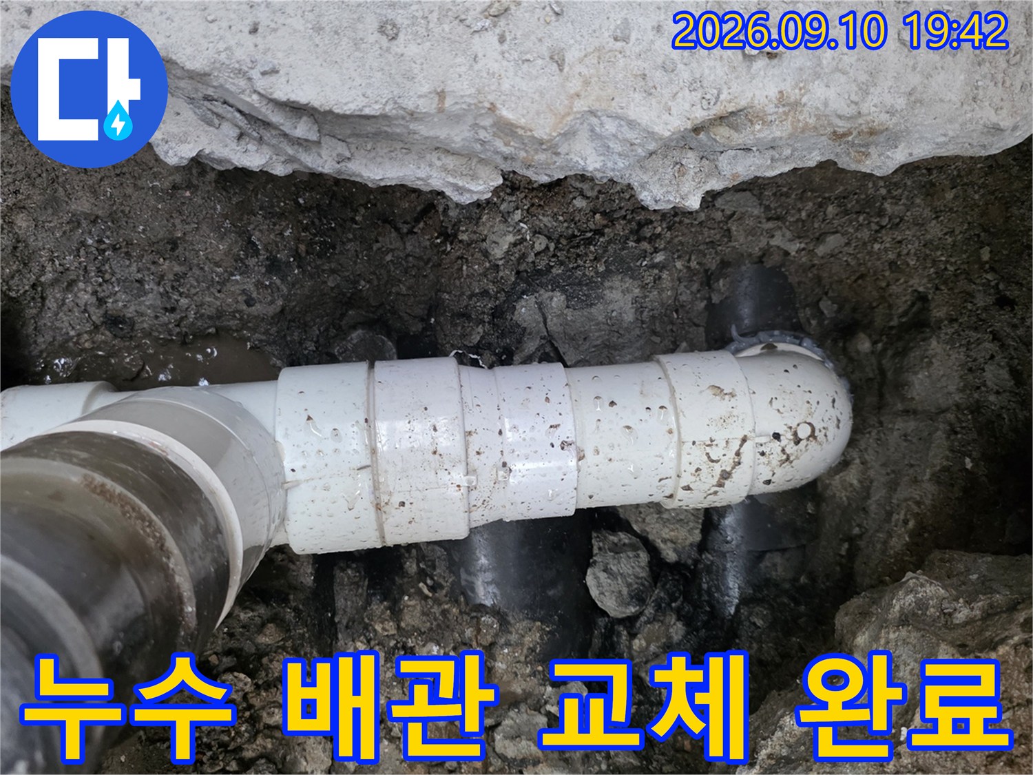 새로운 백색 배관으로 교체된 하수 배수관 연결 부위