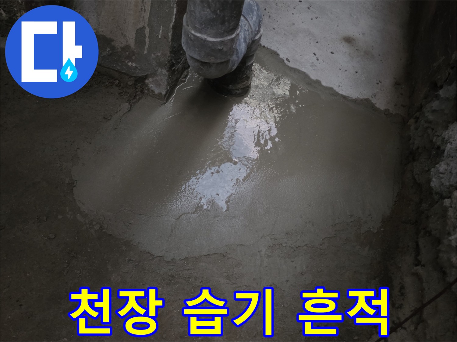 습기로 인해 하얗게 부식된 지하 천장 콘크리트 표면