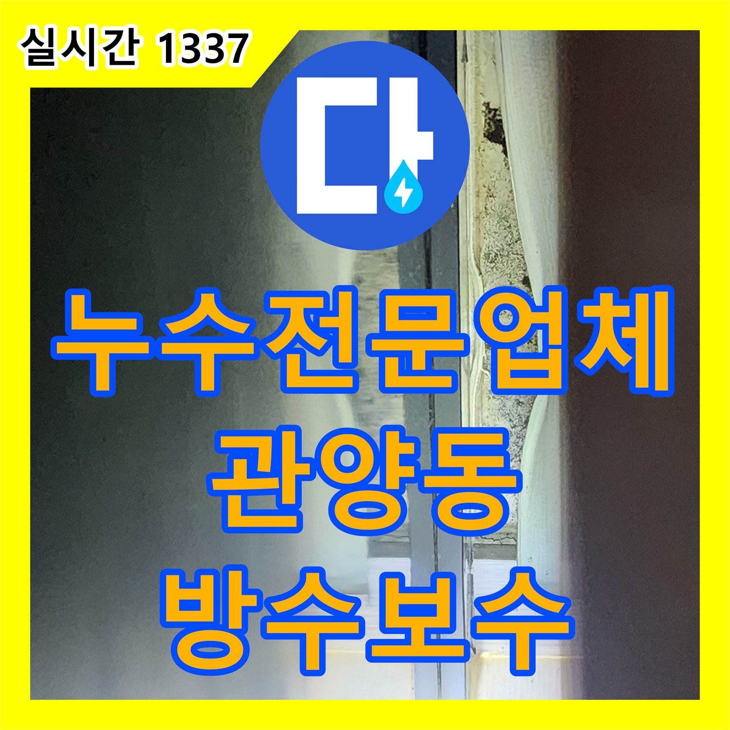 누수전문업체 타 업체 시공 후 재발한 욕실 방수층 결함과 내부 누수 정밀 진단 경기 안양시 동안구 관양동