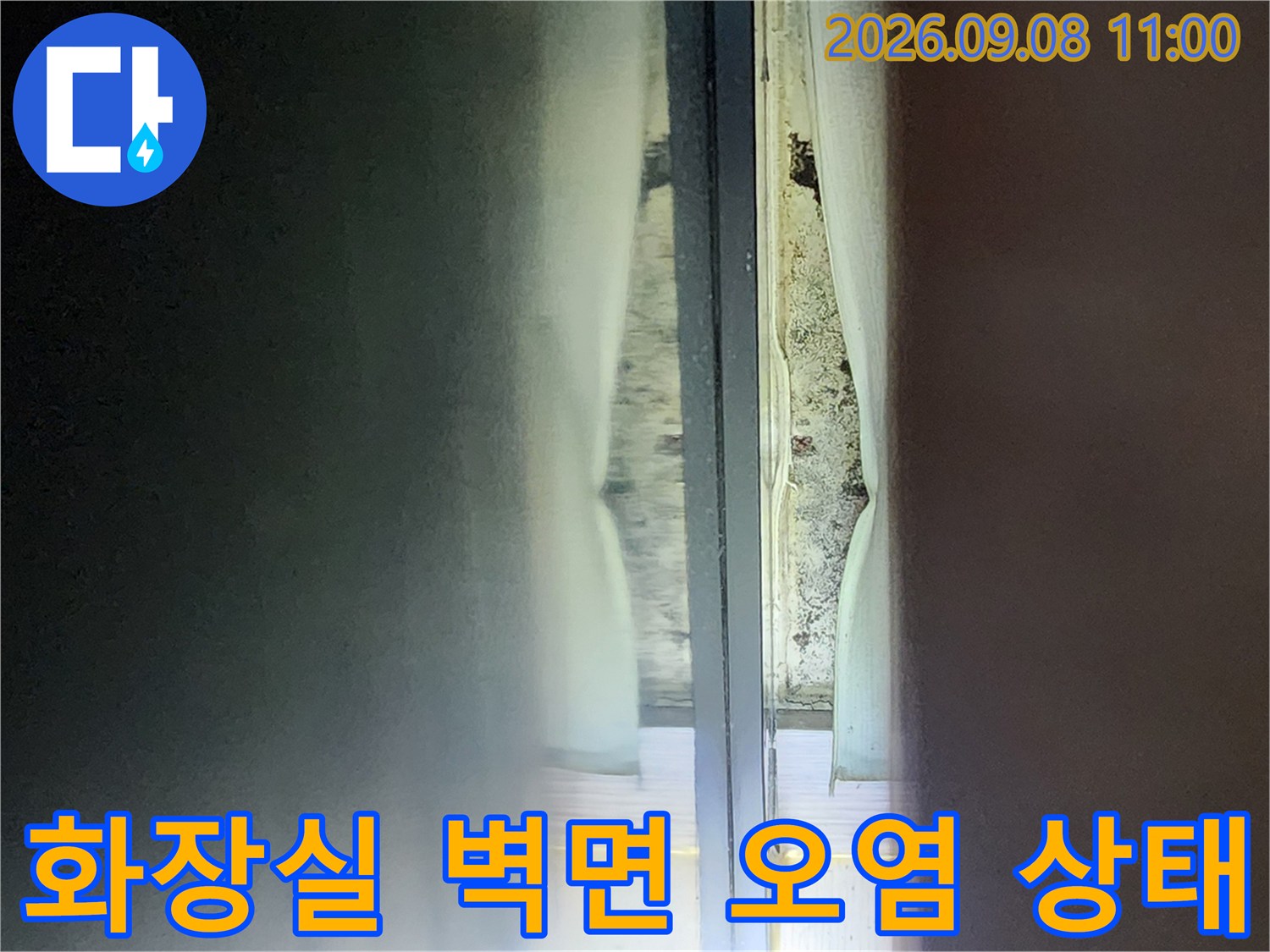 안양 관양동 현장의-화장실 벽면 곰팡이와 오염된 상태를 보여주는 사진입니다