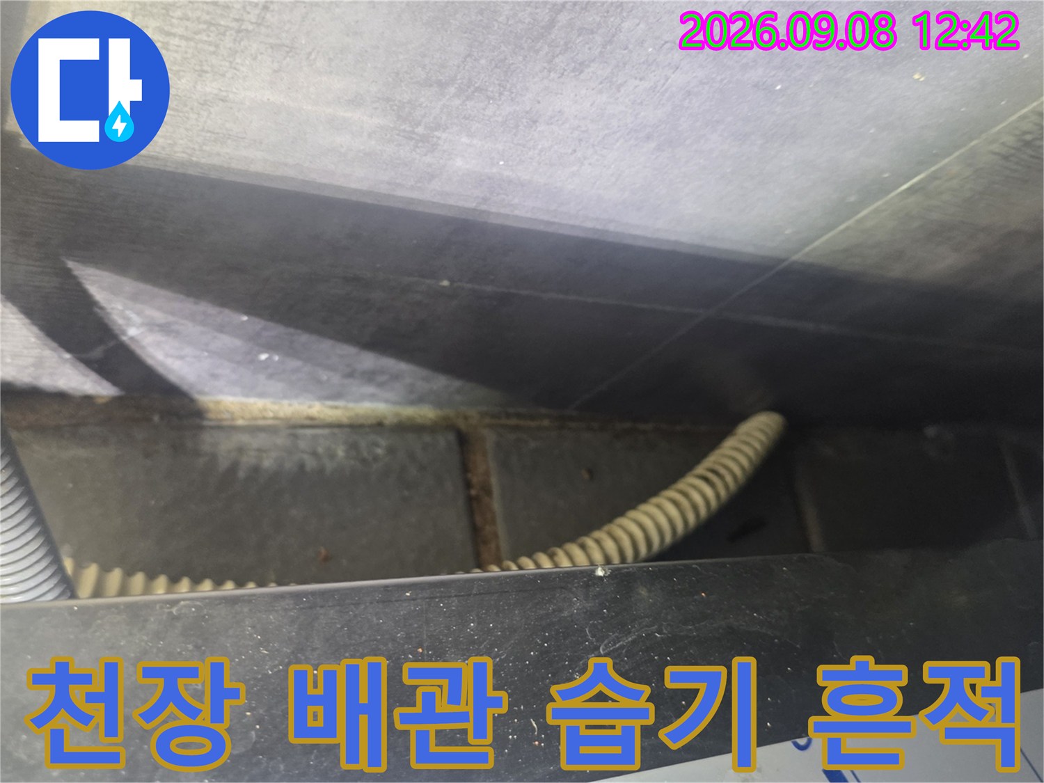 천장 내부의 굴곡진 배관과 물기가 스며든 벽면 상태