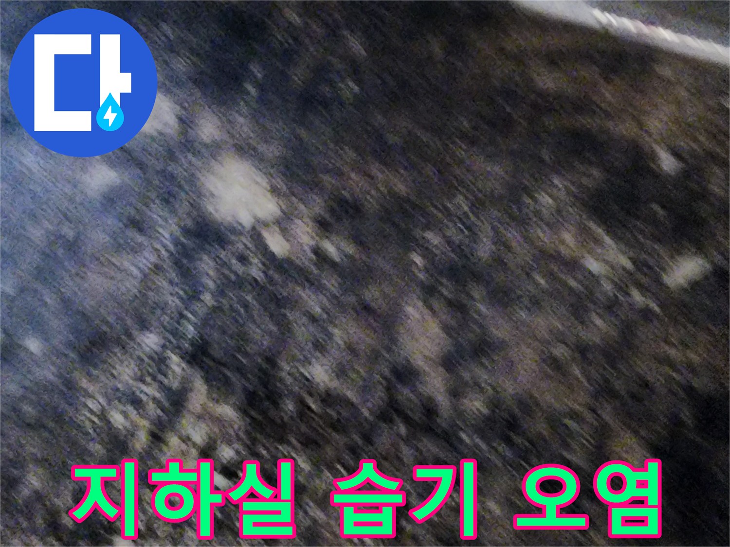 누수 영향으로 인해 곰팡이가 번진 지하실 내부 벽면