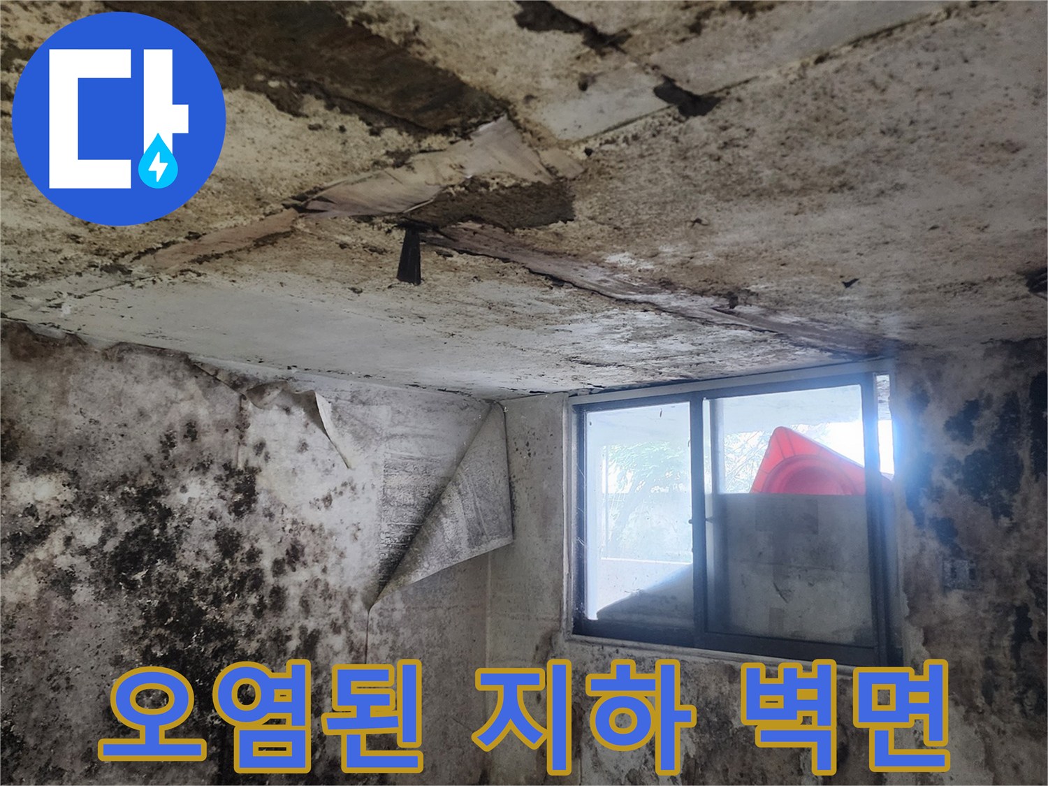 누수로 인한 지하실-벽면 곰팡이와 습기 오염 상태 촬영