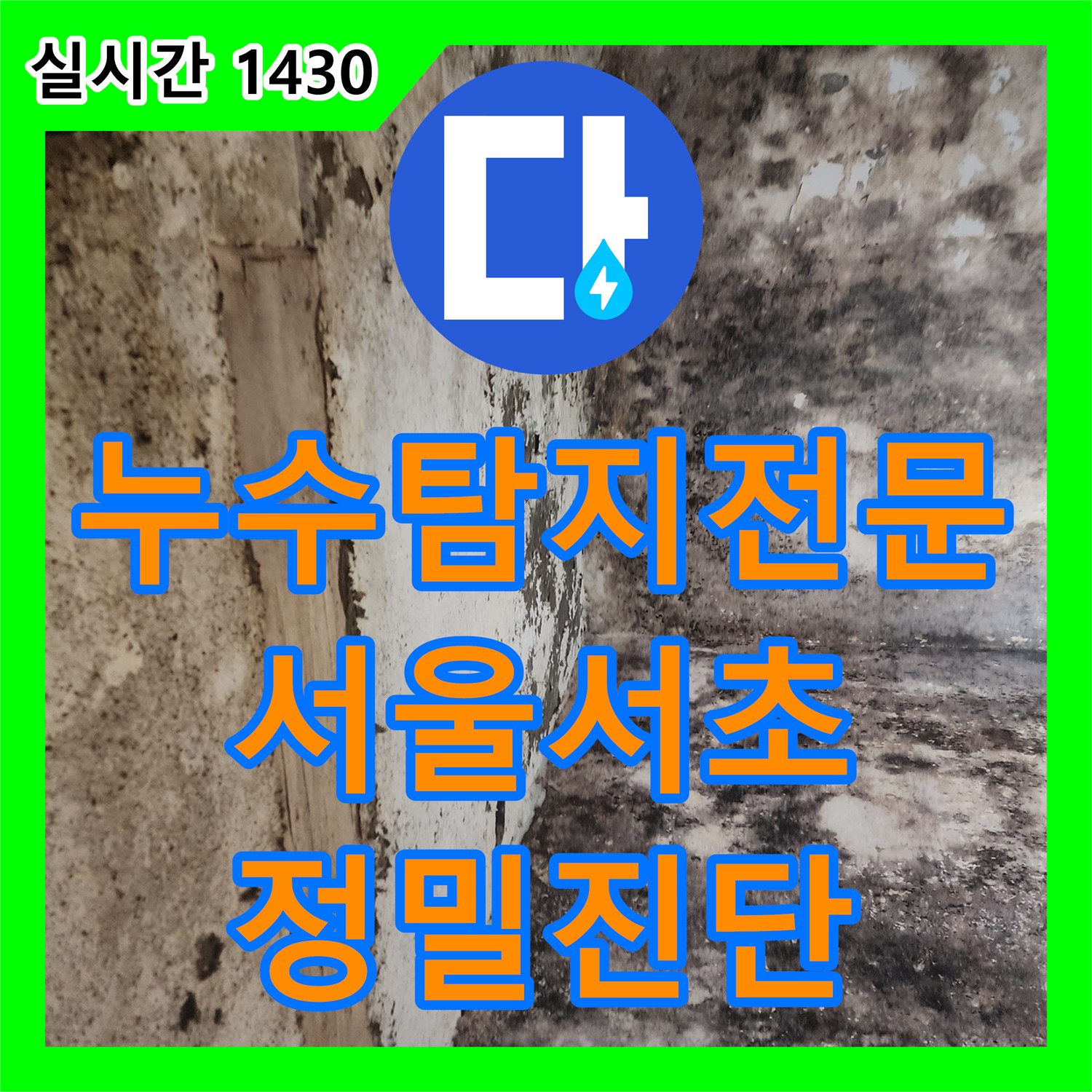 누수탐지전문 전원주택 지하실 천장 누수를 위해 마당 매립 배관을 굴착 수선한 서울 서초구 염곡동 사례