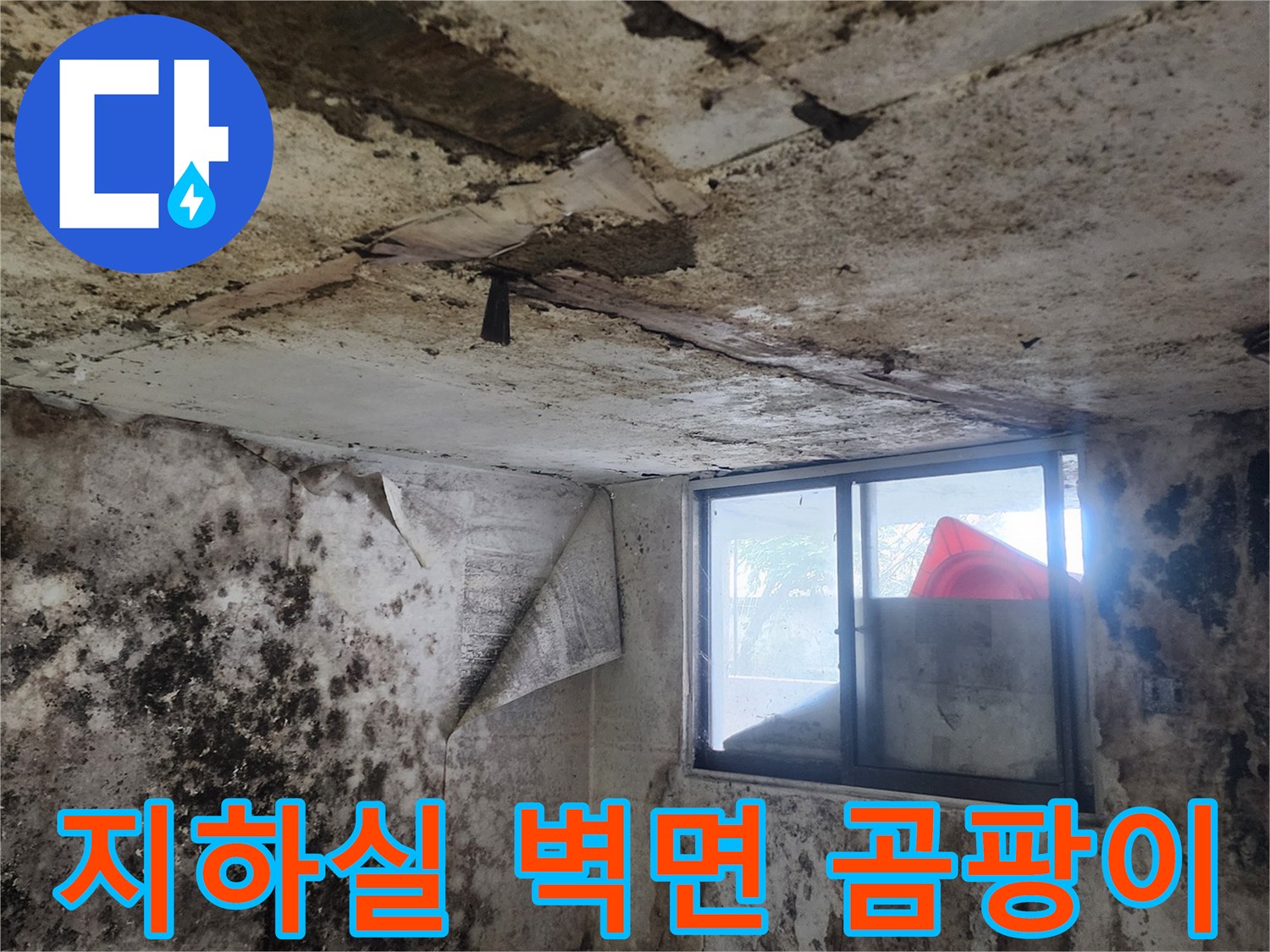 서초구 염곡동 지하 공간의 곰팡이가 피어있는 벽면 상태