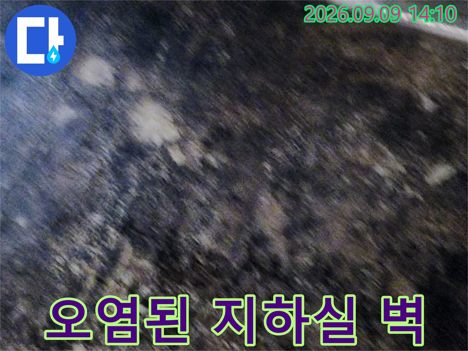 습기와 곰팡이가 가득한 서초구 염곡동 현장 내부