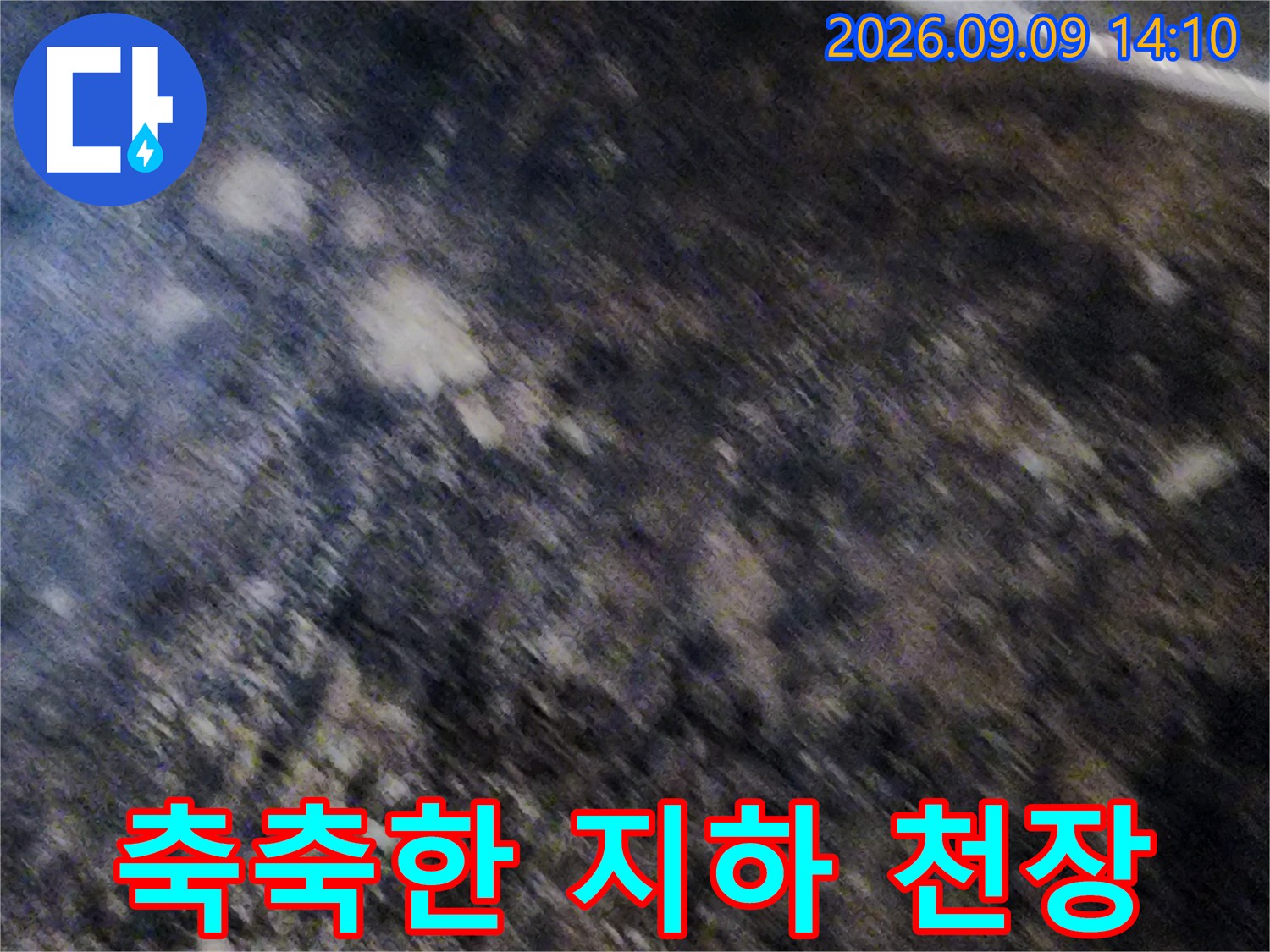 습기와 곰팡이가-심하게 나타난 지하실 천장입니다.