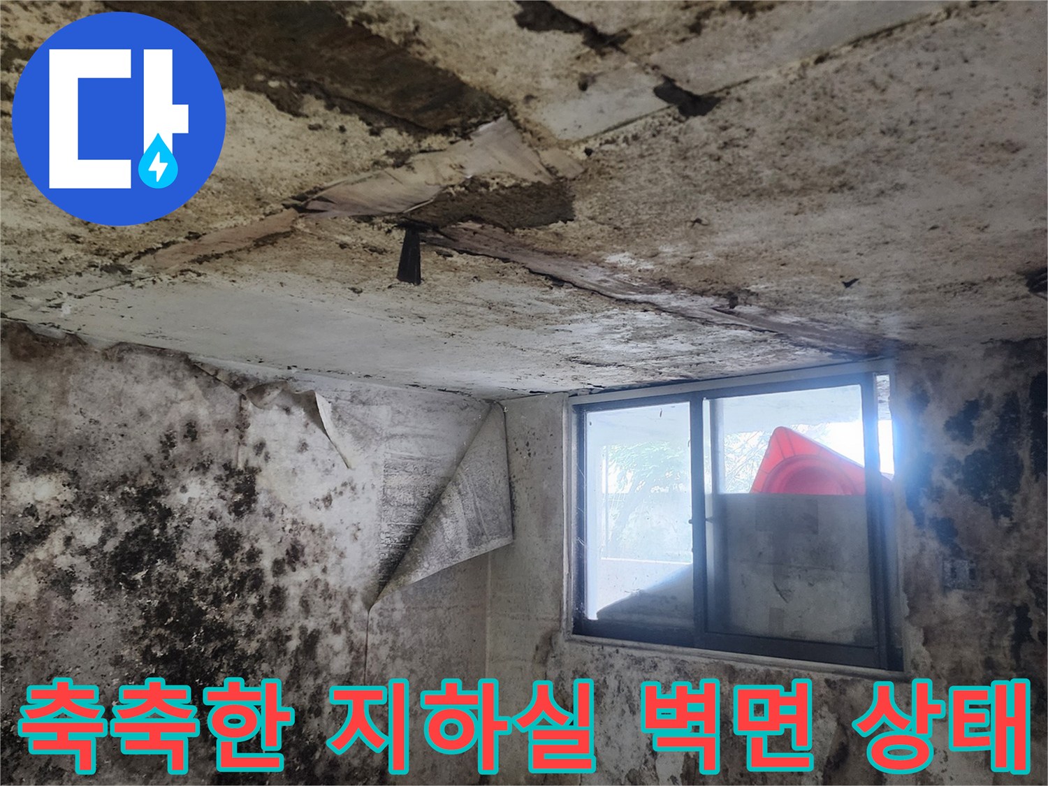 심하게 오염된 지하실 내부-곰팡이가 가득한 벽과 바닥의 모습