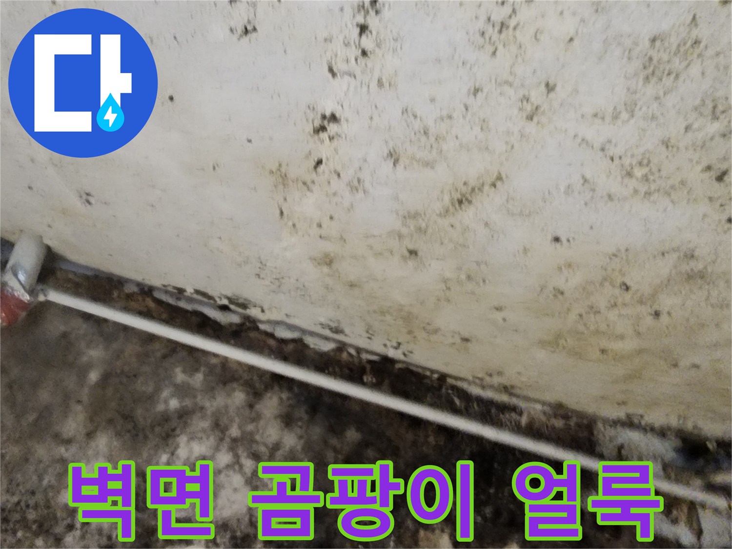 지하 공간의 습기로 인해 발생한 벽면 곰팡이와 얼룩