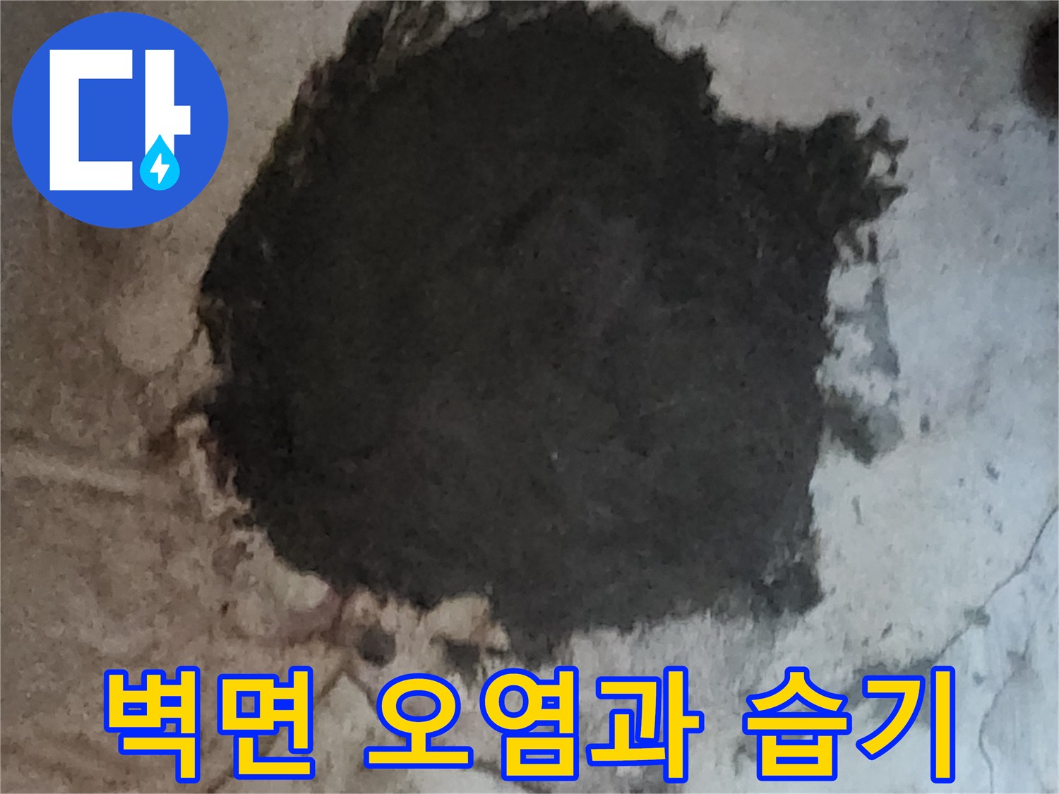 지하 벽면에 발생한 심한 곰팡이와 습기 침투 흔적