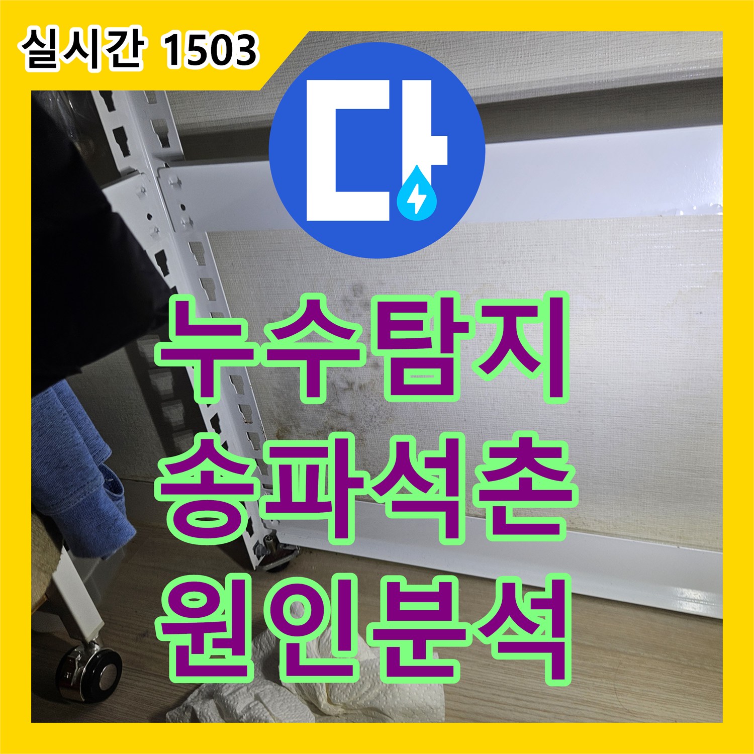 누수탐지 서울 송파구 석촌동 방과 거실 벽면 전체에 퍼진 곰팡이의 원인을 정밀하게 진단합니다