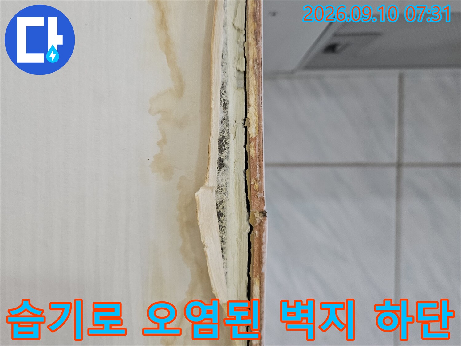 벽지 끝부분이 젖어서 누렇게 변하고 벌어진 현장 사진