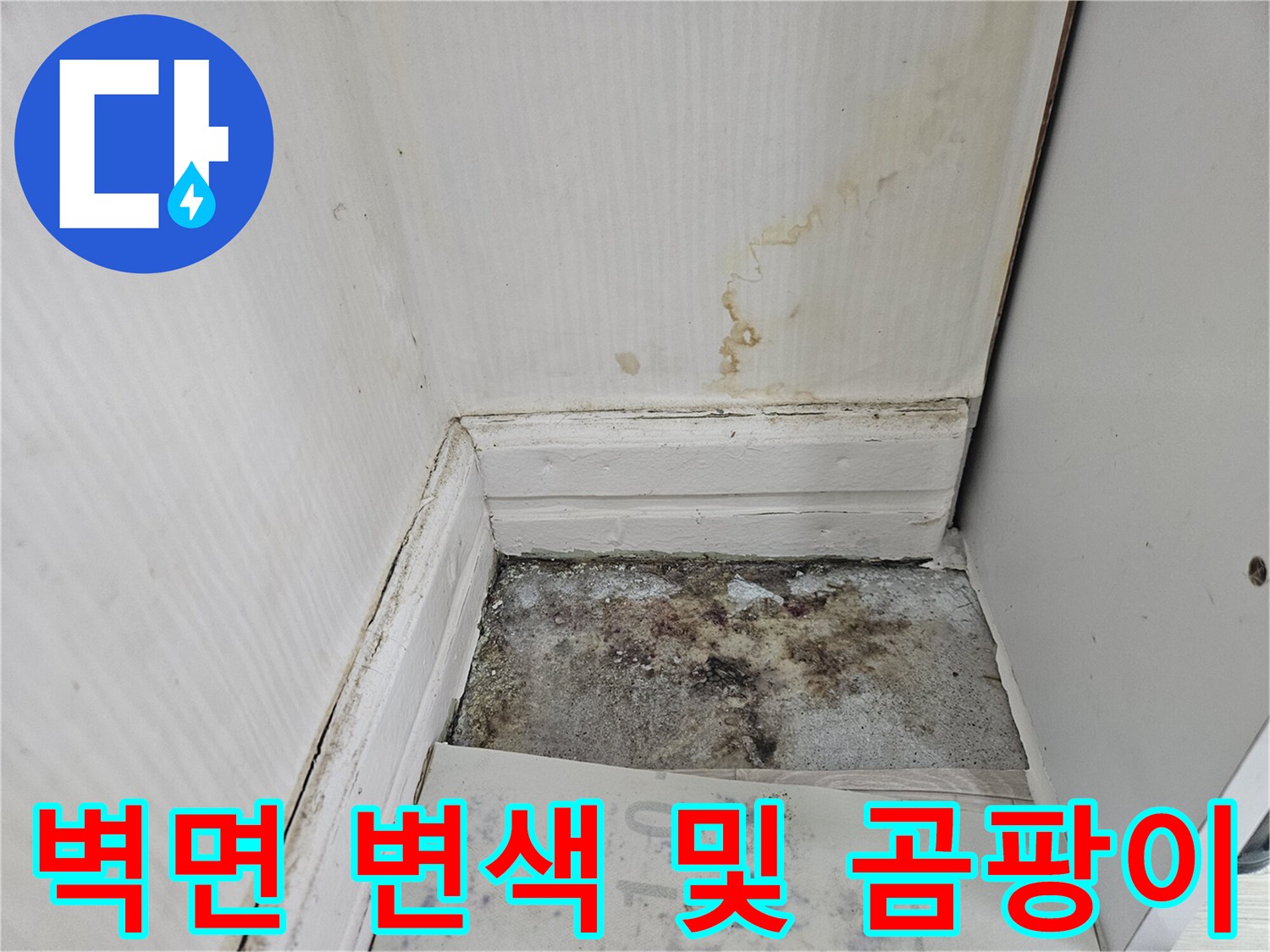 벽지 하단부-물길로 인한-변색과 곰팡이 발생 상태