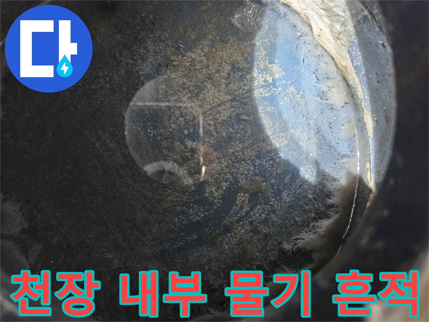 세탁실 천장-내부 배관 주변 누수 흔적 조사