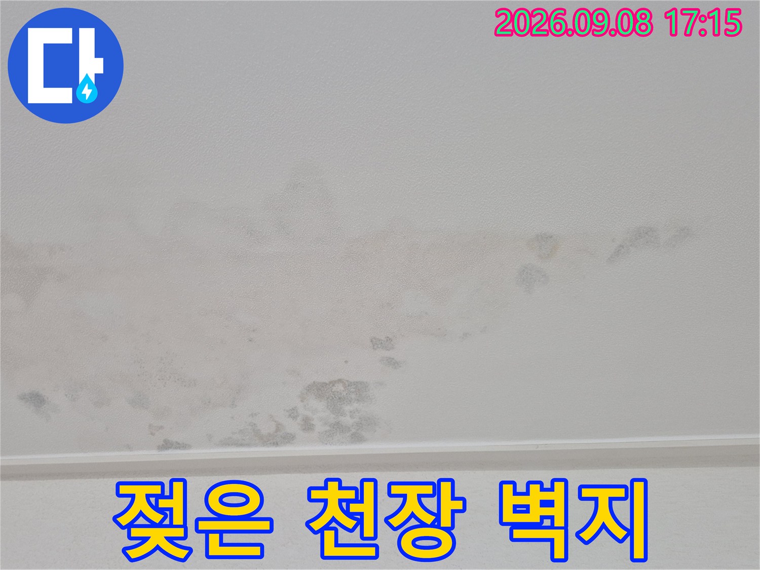 물에 젖어 변색된 천장 벽지-아랫집 작은방 천장의 누수 피해 현장입니다.