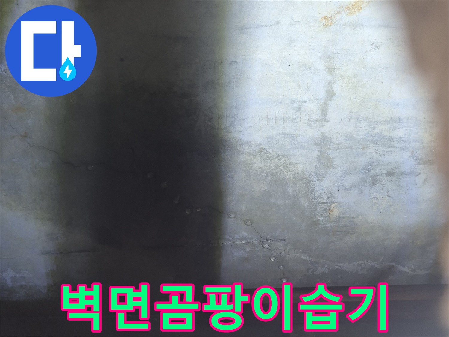 습기로 인해 곰팡이가 피고 변색된 싱크대 하단 벽체