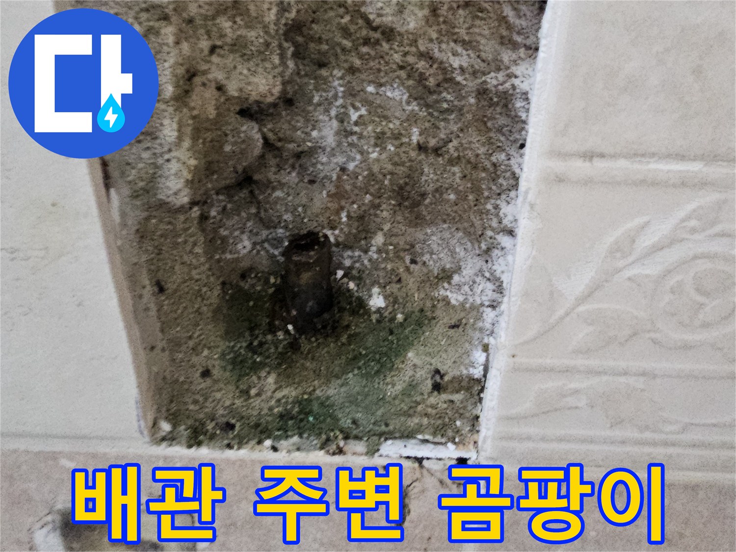 양주시 장흥-부식된 수도 배관과 오염된 벽면