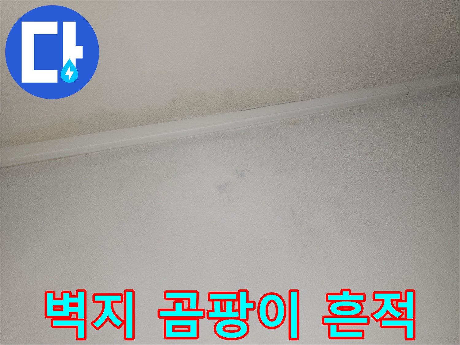 천장 몰딩 주변에 발생한 습기 및 변색 부위