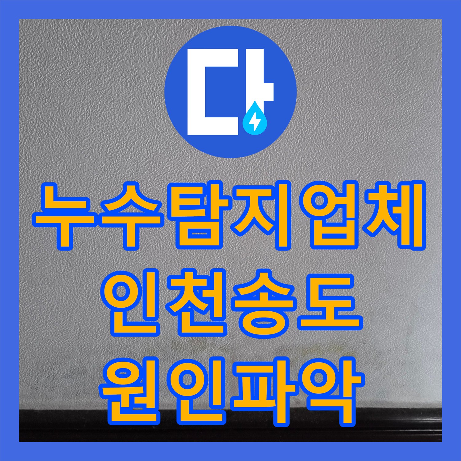 누수탐지업체 화장실 맞닿은 벽면 누수와 곰팡이 원인 파악 과정 인천 연수구 송도동