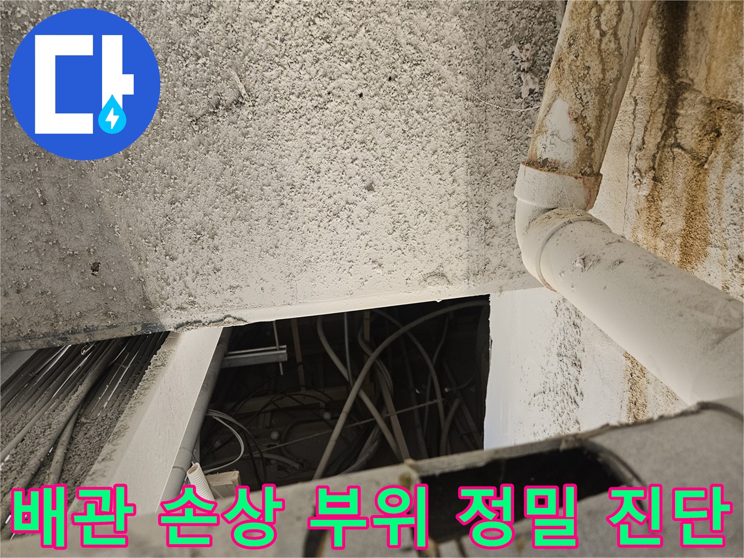 손상된-하수배관의-절단면과-주변-오염 상태