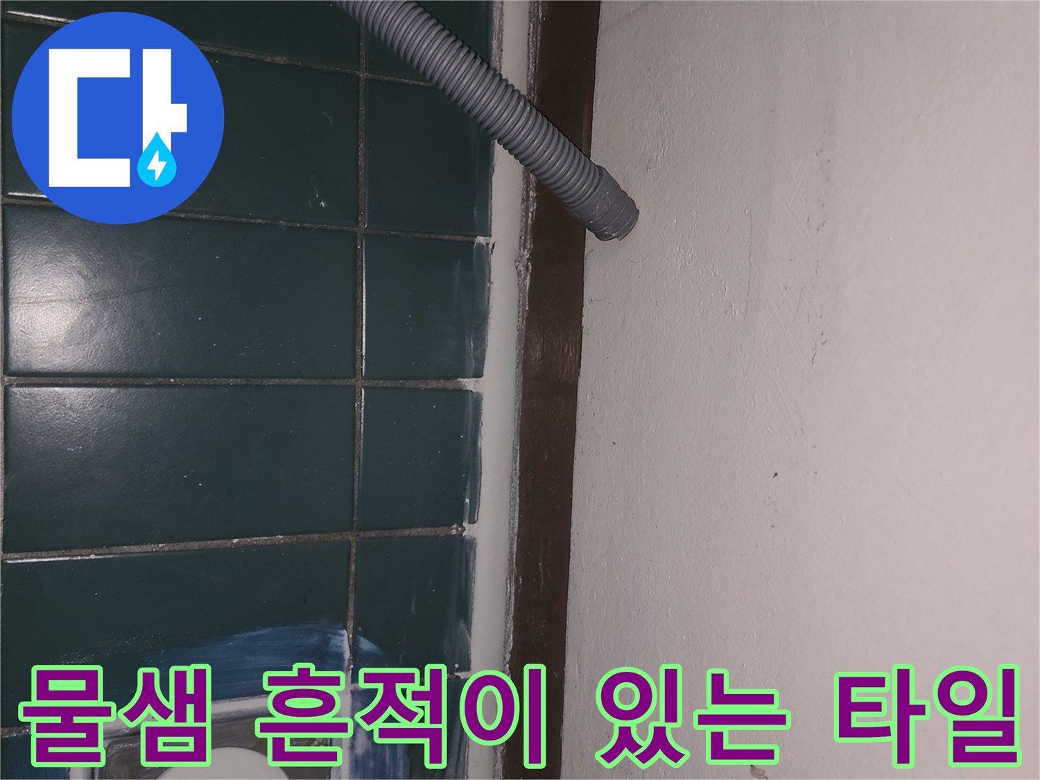 배수구-주변-타일-틈새-점검-사진
