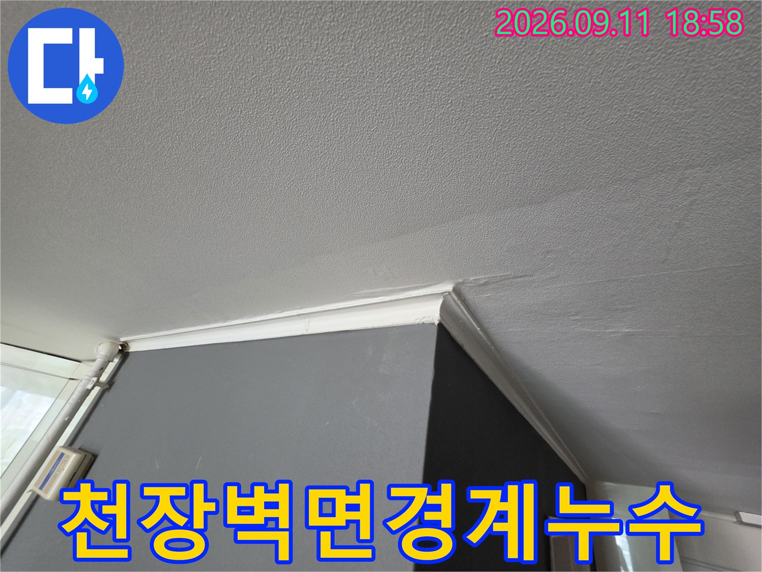 성동구 성수천장-천장과 벽면 경계의 습기 얼룩 부위