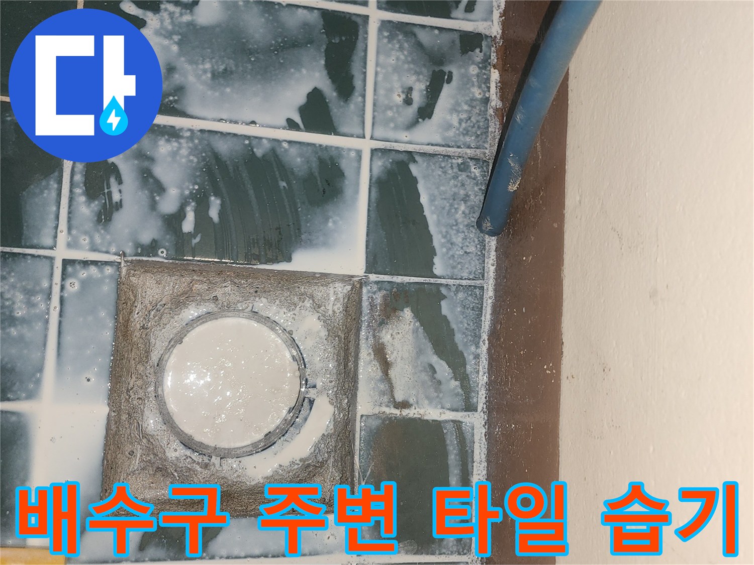 세탁실 배수구 인근-타일 틈새에 스며든 물기