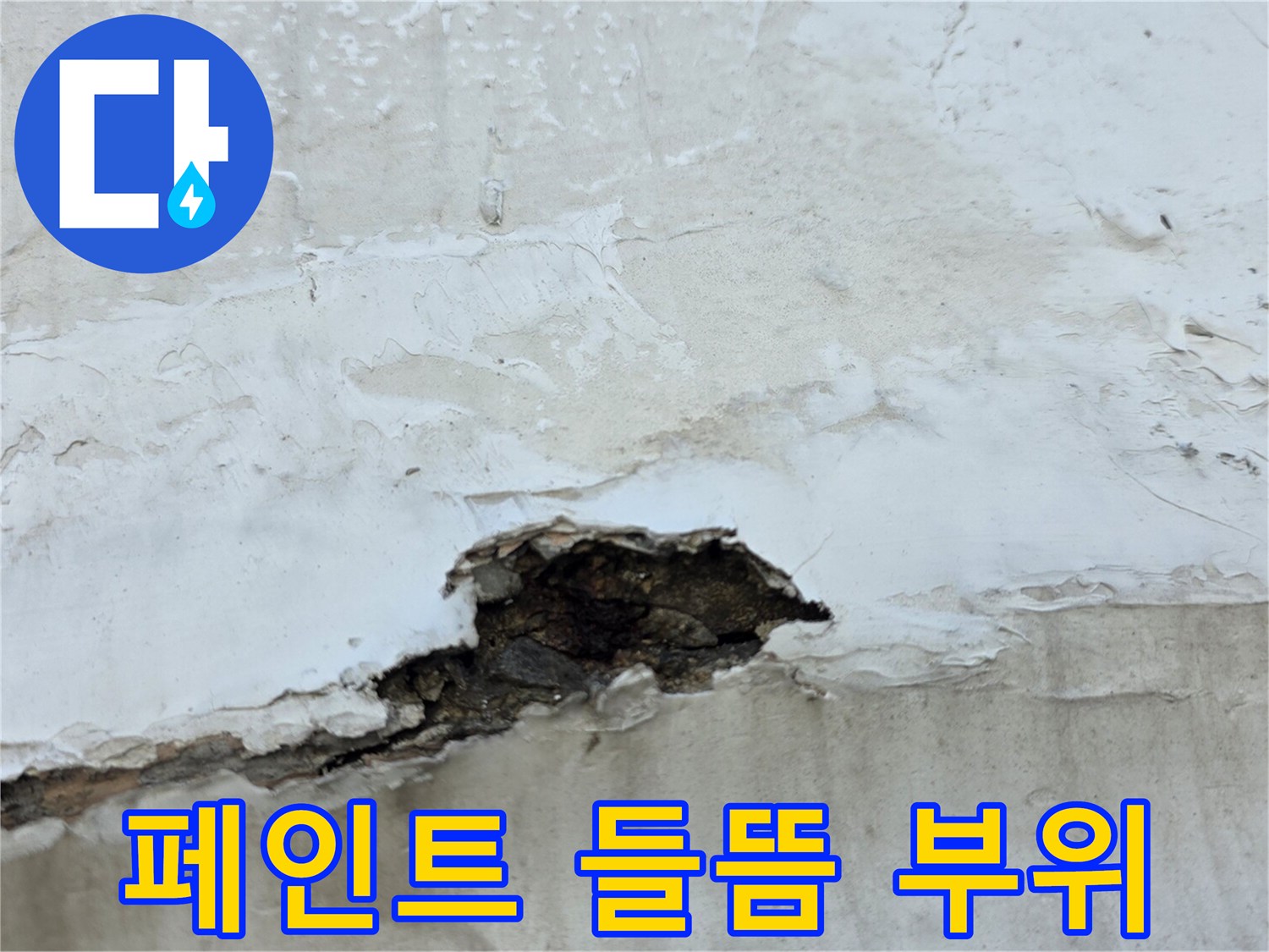 누수로 인해 페인트가 벗겨지고 콘크리트가 드러난 현장 사진